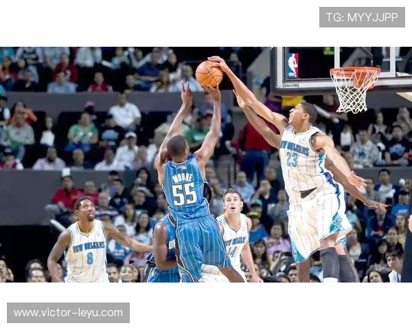 安东尼·戴维斯的冰箱里只放蛋白粉和冰块